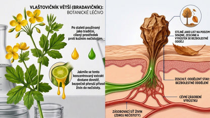 𝐇𝐢𝐬𝐤𝐢𝐧® 2-in-1 Pokročilý bezbolestný krém pro péči o pokožku bez viditelných stop – pro kožní výrůstky, bradavice a viditelné nedokonalosti pokožky